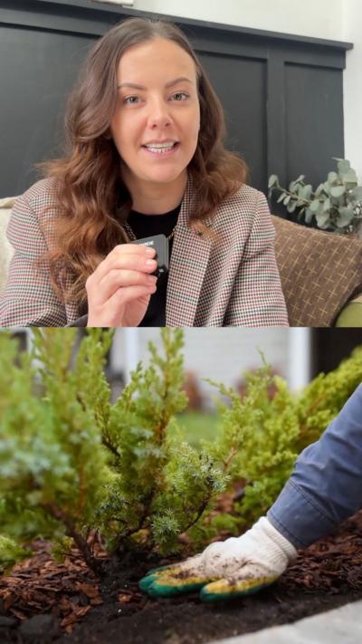 Tink Llewellyn who has brown hair and a picture of a gloved gardening hand patting down soil near a plant 