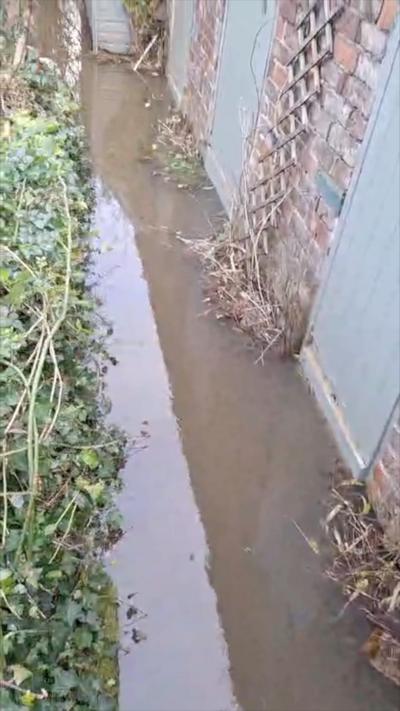 Dirty water in a garden.