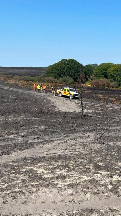 A scene of wildfire across New Forest heathland. A fire vehicle can be seen parked on the scorched ground.