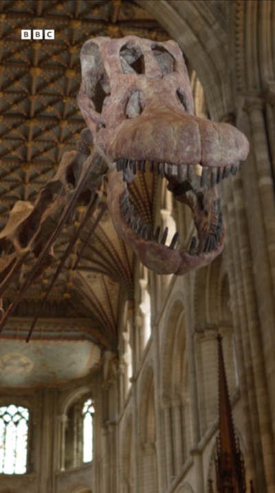 Dinosaur skeleton