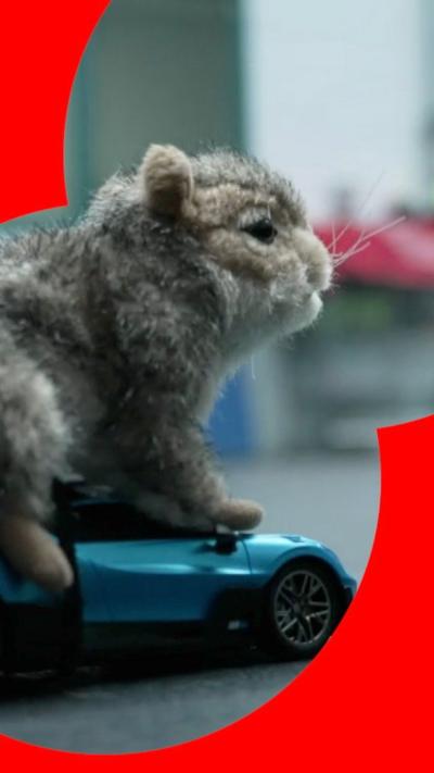 A toy squirrel