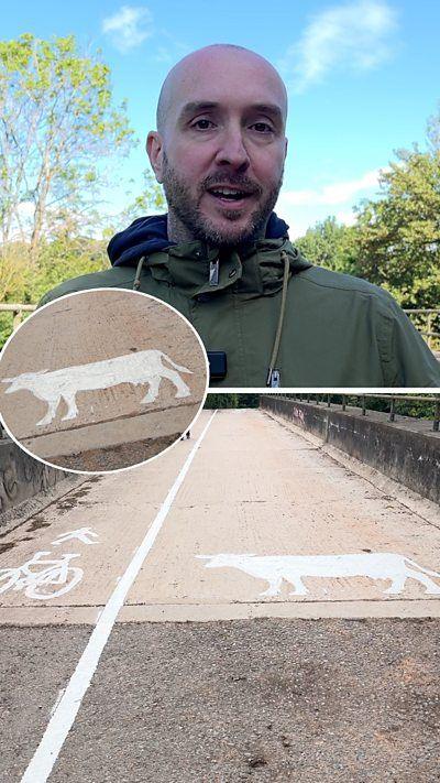 A cycle path with a cyclist sign on the right and a cow sign on the right. At the top of the image is a bald man with a beard wearing a khaki green jacket.