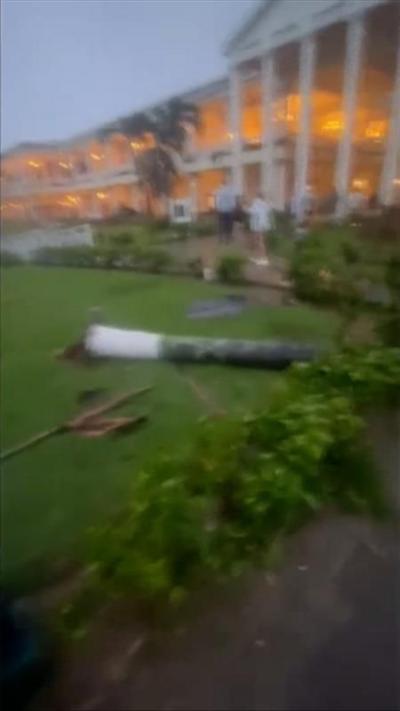 Downed trees and battered foliage in front of hotel