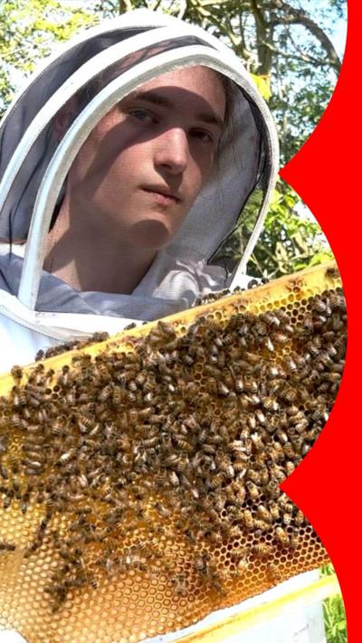 A teenager wearing a white beekeeper suit holds up a rectangle panel of bees.