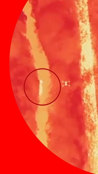 Screenshot from video showing wolf on the run