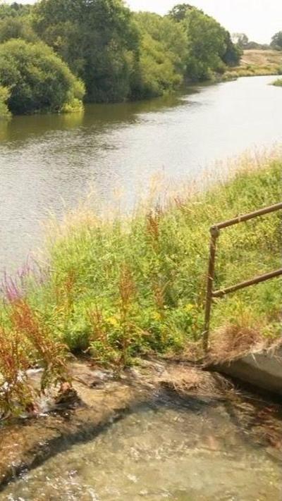 An entry point for water to reach a river with trees on the opposite riverbank
