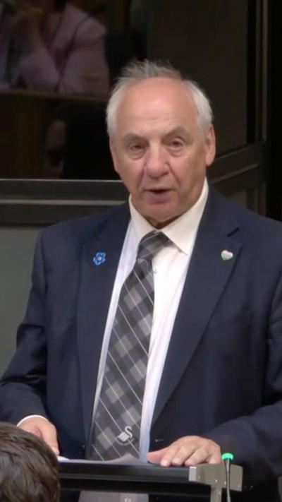 Mike Hedges, who has grey hair and a suit, stood up in the Senedd