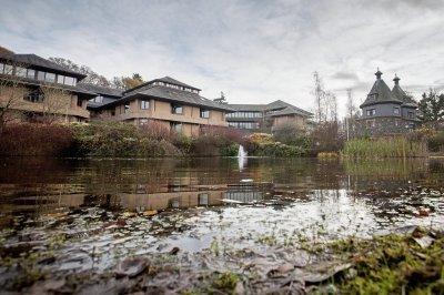 Powys council offices 