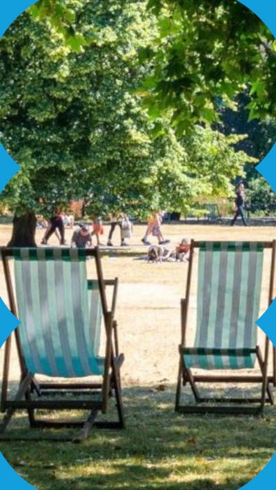 Two deckchairs in the shade of a tree in a sunny park.