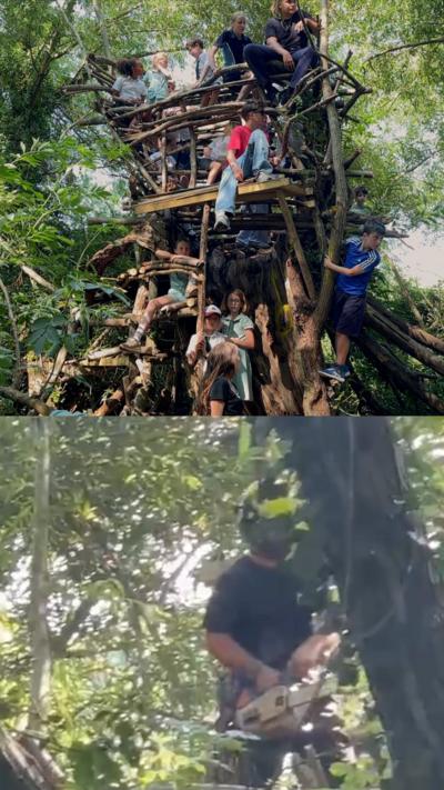 One half shows a tree house with children playing on it, the other half shows it being demolished.