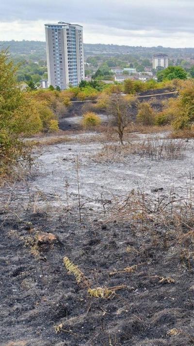 A burned patch of ground at a nature reserve with a tower block in the distance