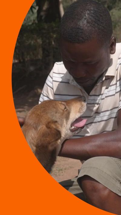 A man crouches down and strokes a dog with light brown fur.