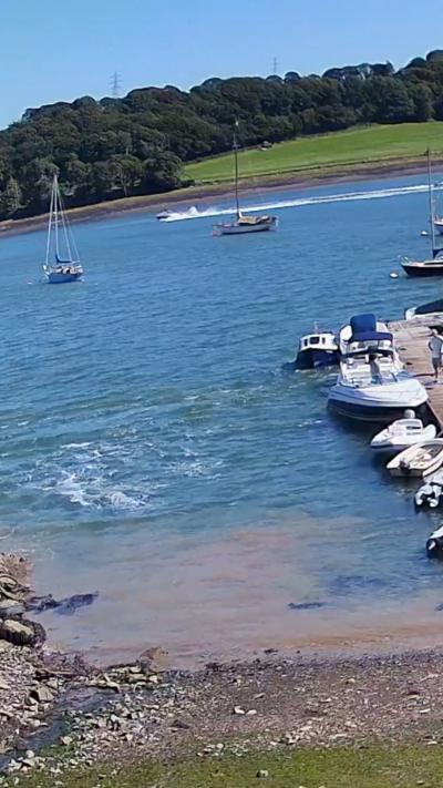 A speed boat moving in the distance of a marina
