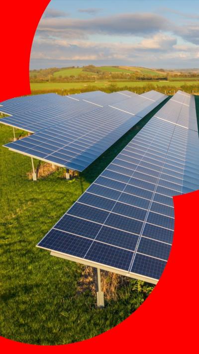 Rows of solar panels erected in a grass field.