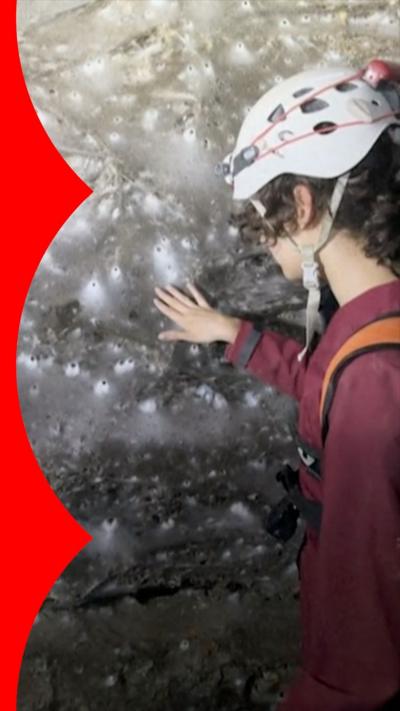 Person in white helmet touching massive spider's web 