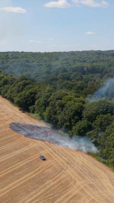 A fire on a field in Goring Heath with smoke coming from the ground and within the nearby woods.
