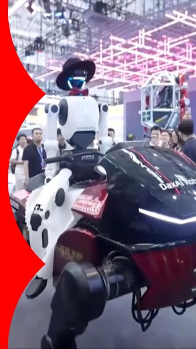 Robotic horse and rider