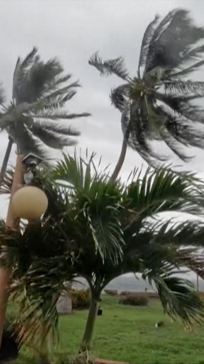Palm trees sway in winds as clouds are seen overhead