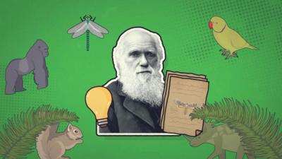 Illustration of various animals featuring a cut out photograph of Charles Darwin