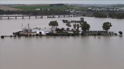 Buildings and trees in high flood water
