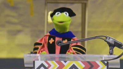 Kermit the Frog in a hat and colourful gown 