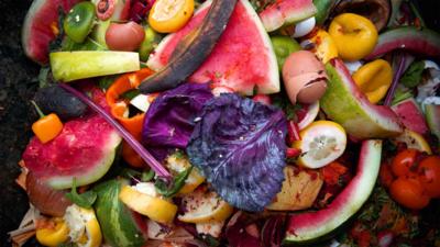 Image of waste food (Shutterstock)