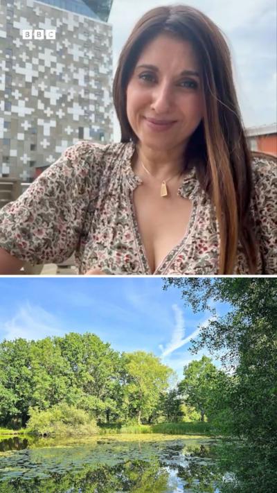 A woman in a patterned dress and long blond hair sat infront of a patterned building. the bottom portion of the photo is an image showing blue sky, green trees and a pond