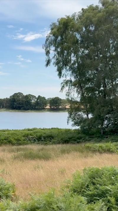 Bradgate Park