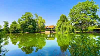 Lake lined with green trees and bright blue sky above 