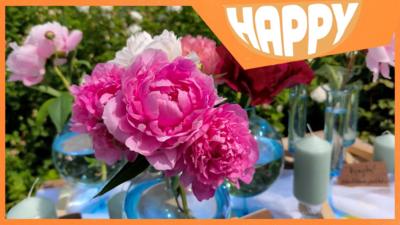 Pink lowers and teh Happy logo