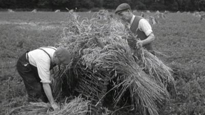 Two men gather hay from a field