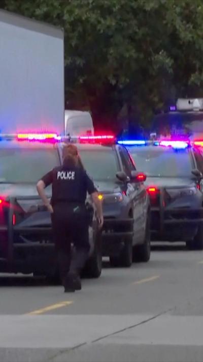 Police cars are seen in a line with red and blue flashing lights.