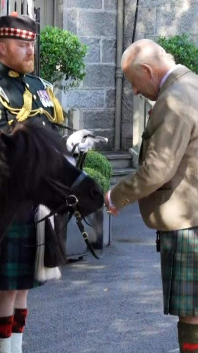 The king is wearing a beige jacket and green kilt. He has his hand out to stroke a black Shetland pony.