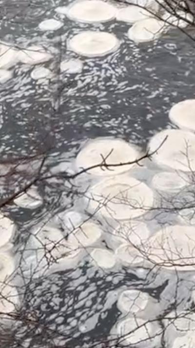 Ice pancakes at Bolton Abbey