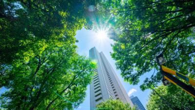 Image of a high-rise building viewed through a tree canopy