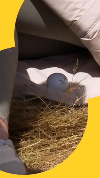 Golf ball lands in spectator's coat