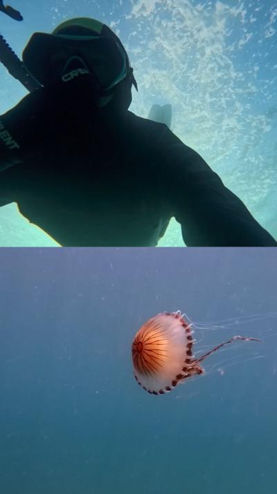 An image showing someone swimming