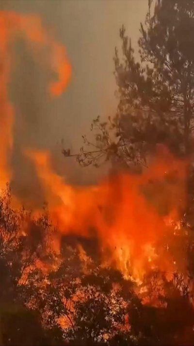 Close up view of a raging fire 