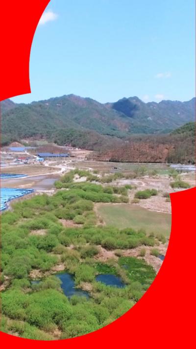 Aerial view of green trees, mountains and blue waters