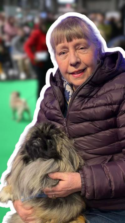 Lady with a dog on her lap