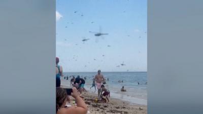 Dragonflies are seen storming a beach in Rhode Island. Beachgoers are seen taking videos.