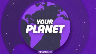 Your planet logo