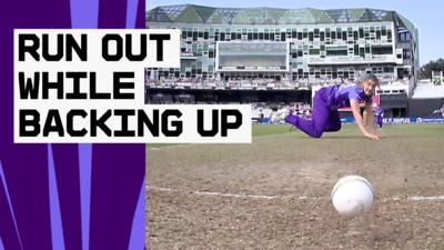 Ellyse Perry