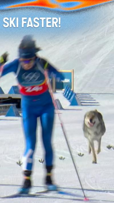 Winter Olympics 2026: Cross-country skiing Wolf dog