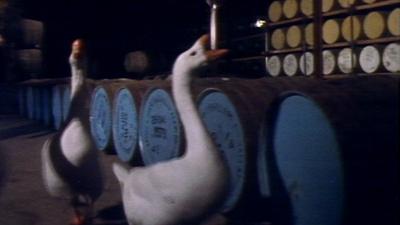 Geese in front of whisky barrels.