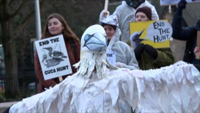 Togail fianais an aghaidh sealg a' Ghuga