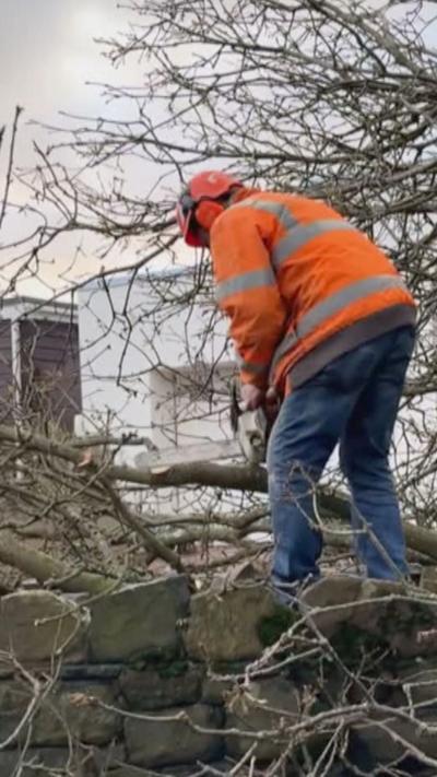 Man with chainsaw wearing a high-vis jacket cuts tree