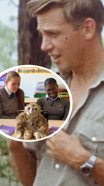 A split screen of a young David Attenborough, in a beige shirt in the wilderness, with two teenagers sitting behind a school desk reacting to the video