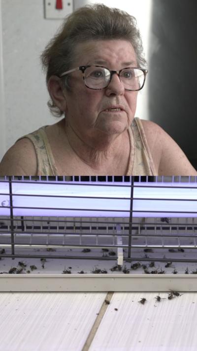 A woman with glasses and an electric fly trap full of dead flies