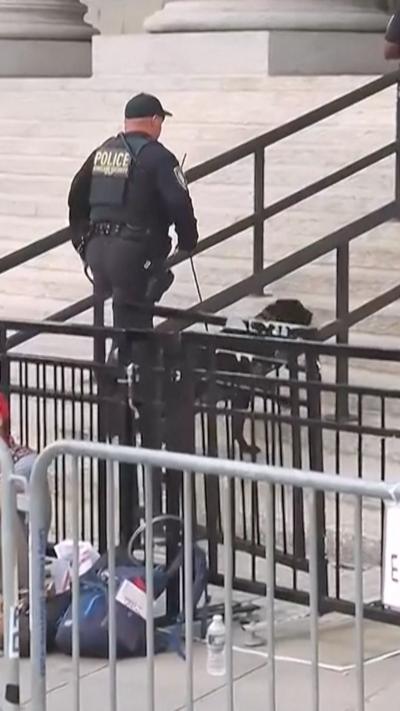 A policeman with a dog walk up stairs.